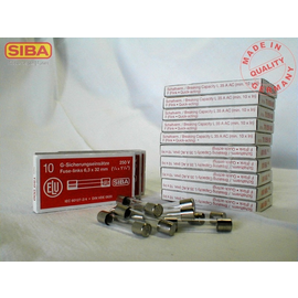 7005960.0,1 SIBA G-SICHERUNG 6,3X32 100MA FLINK Produktbild