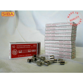 7005960.0,25 SIBA G-SICHERUNG 6,3X32 250MA FLINK Produktbild