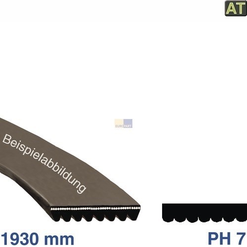 13396 EUROPART POLY-V-RIEMEN 1930PH7 (39KR030) Produktbild Front View L