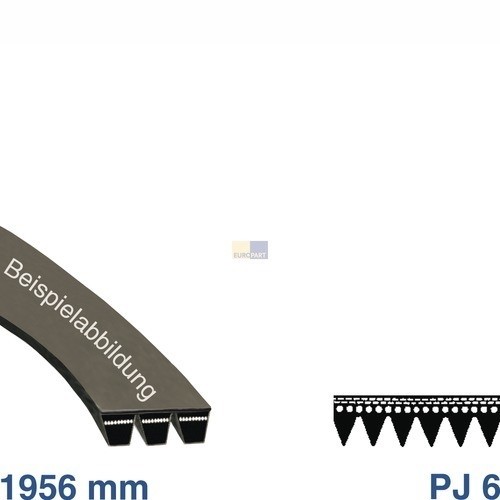 13384 EUROPART POLY-V-RIEMEN 1956PJ6 (39KR031) Produktbild Front View L