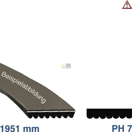 13389 EUROPART POLY-V-RIEMEN 1951PH7 (39KR041) Produktbild