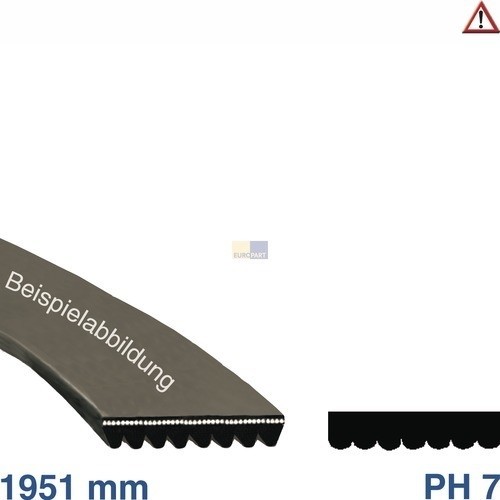 13389 EUROPART POLY-V-RIEMEN 1951PH7 (39KR041) Produktbild Front View L