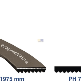 14558 EUROPART POLY-V-RIEMEN 1975PH7 (39KR103) Produktbild