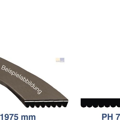 14558 EUROPART POLY-V-RIEMEN 1975PH7 (39KR103) Produktbild Front View L