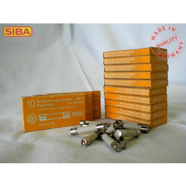 7001005.4 SIBA FEINSICHERUNG M.KENN- MELDER 5X25 4,0A Produktbild