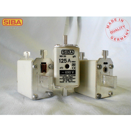 2020913.100  SIBA NH Sicherung Gr.00 100A 690V gL-gG Produktbild