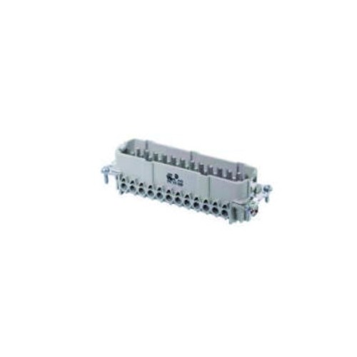 7031024400 WIELAND Stecker 24pol. Steckverbindung Produktbild Front View L