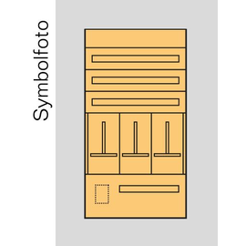 EC6S ERA Zählerverteilereinsatz Salzburg bxhxt=696x1300x155mm Produktbild