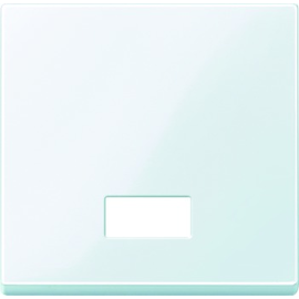 432825 MERTEN Wippe Kontroll System M mit Symbolfenster aktivweiß glänzend Produktbild