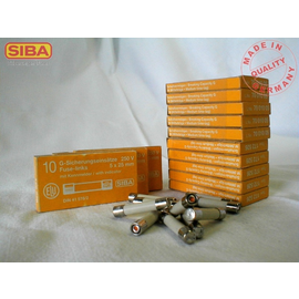 7001005.0,63 SIBA G-Sicherung mittelträ. 5x25mm 250V 0,63A Produktbild