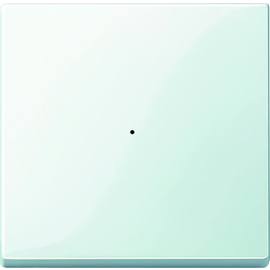 MEG5210-0319 MERTEN Wippe f.Taster Modul 1-fach System M Polarweiß glänzend Produktbild