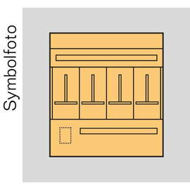 ED4S ERA Zählerverteilereinsatz Salzburg bxhxt=916x1000x155mm Produktbild