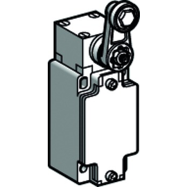 XCKJ10513H29 Telemecanique Positions- schalter IP66 Metall m.Rollenhebel 1Ö/1S Produktbild