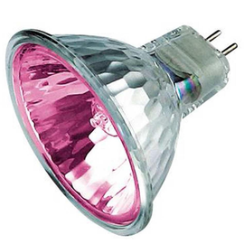 50199 Scharnberger 12V 50W Magenta Produktbild