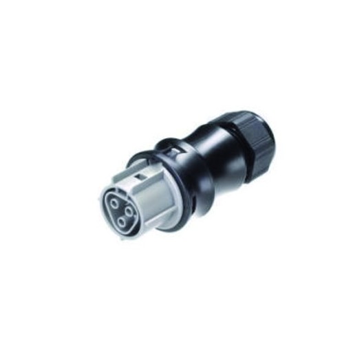 96.031.4154.3 WIELAND RST25i3 Buchse Steckverbinder 3-polig 10-14 mm Produktbild Front View L