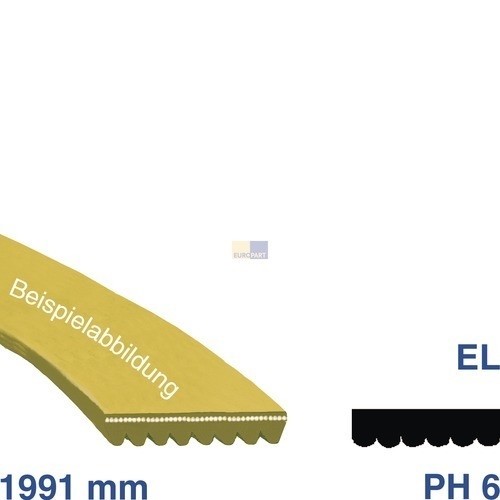 017348 Europart Keilrippenriemen Produktbild Front View L