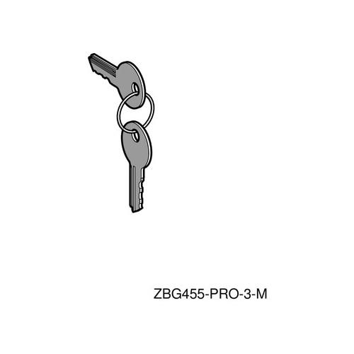 ZBG455P Schneider E. Schlüssel RONIS455 2 Stk. mit Schutzkappe Produktbild Front View L