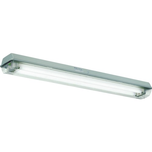 12266875109 CEAG Ex-Leuchte für Leuchtstofflampen für Zone 1/21 Produktbild Front View L