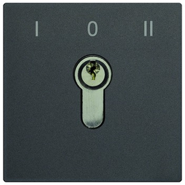 AMI10700-0057 TCS Schlüsselschaltermodul schwarz eloxiert Produktbild