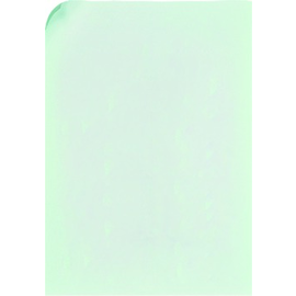 733670 Schneider E. Schildeinlage f.ZSL TS RUM Produktbild front M