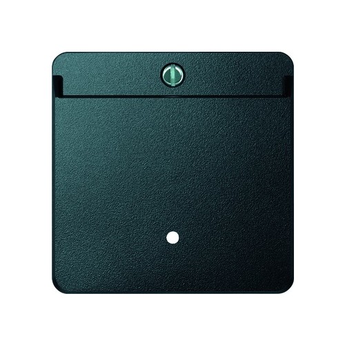 315414 Merten Card Scha TPm ant SysM Produktbild Front View L