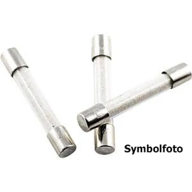 P01297071 Chauvin Arnoux Sicherung 2,5 A Produktbild front M