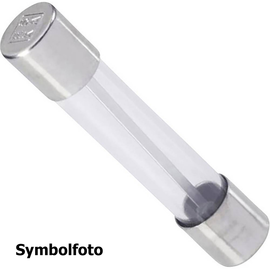 P01297072 Chauvin Arnoux Sicherung 0,1 A Produktbild front M