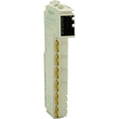 TM5SE2IC01024 Schneider E. TM5 2 HSC INC 24VDC/100KHZ 4-FACH Produktbild