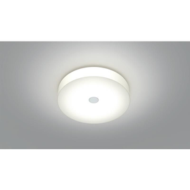 565-001011029050 Tecnico WHITE BELT S W/DL weiß LED Produktbild