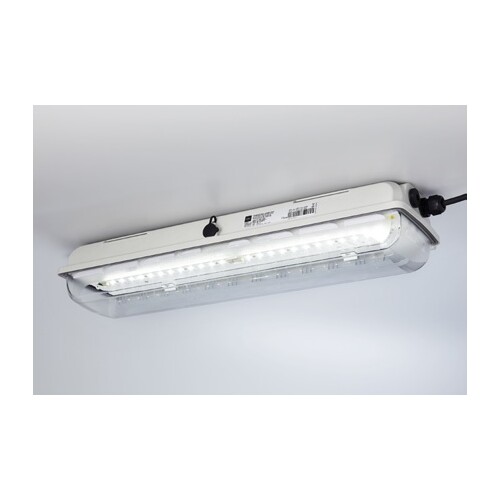 267074 STAHL 6002/42W EX Leuchte Zone 1/21 LED 42W 5000K Produktbild Front View L