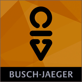 BAB-APP011 b.a.b. BAB Technologie Busch Radio INet für AppModule REG Produktbild front M