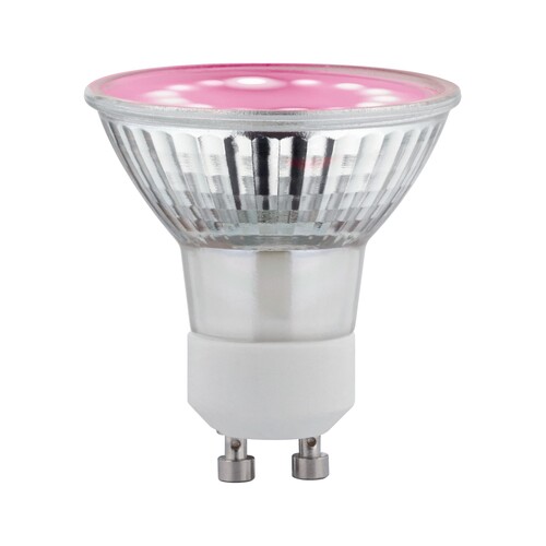 28736 Paulmann LED Plant GU10 3,5W 230V Produktbild Additional View 1 L