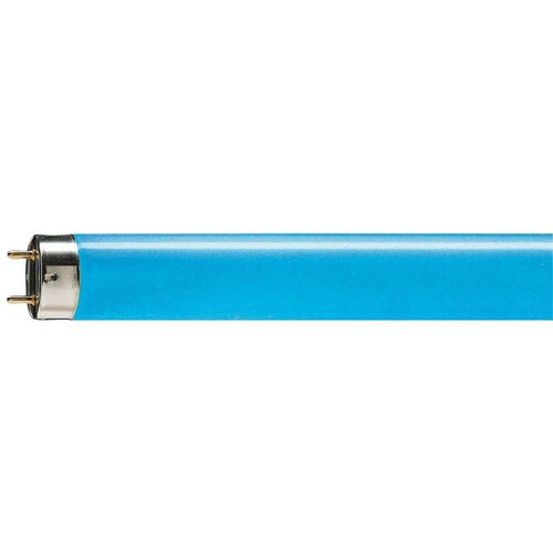 72690240 PHILIPS-LICHT TL-D 18W/18 LEUCHTSTOFFLAMPE BLAU EEI:C Produktbild