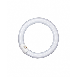 581082 OSRAM L22W/840C LUMILUX HELLWEISS LEUCHTSTOFFLAMPE IN RINGFORM 29MM EEI:A Produktbild