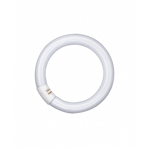 581082 OSRAM L22W/840C LUMILUX HELLWEISS LEUCHTSTOFFLAMPE IN RINGFORM 29MM EEI:A Produktbild