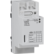 216700 GIRA KNX/EIB IP-ROUTER REG PLUS Produktbild