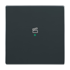 6233-10-81 Busch-Jaeger @ Wippe 1-fach Szene Symbol anthrazit Produktbild front M