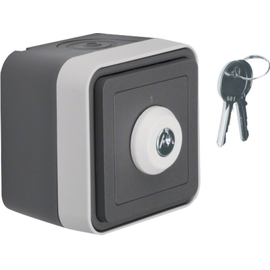 32713505 BERKER W.1 FR AP Schlüssel- Wechselsch. Aufdruck, grau/lichtgr matt Produktbild front M