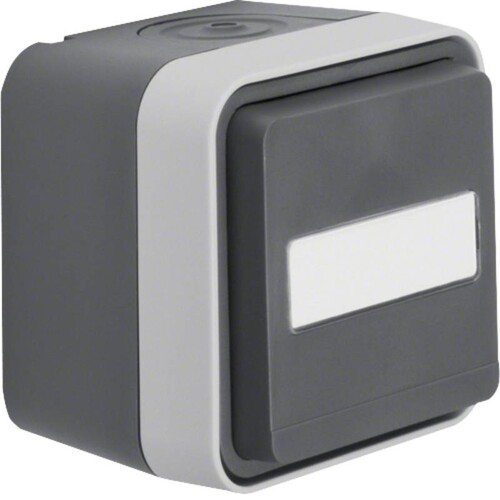 47413515 BERKER W.1 FR AP SSD mit Beschriftungsfeld, grau/lichtgrau matt Produktbild Front View L