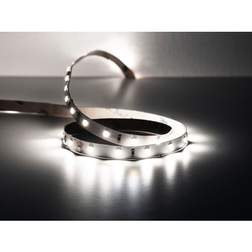 746-1242420ww Molto Luce Basic LED Strip 4,8W/m 3000K 24V IP20 5m Produktbild