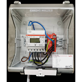 900903 Dehn Netzanschaltkasten Dehncube DCU EMOB 2 25 C Produktbild