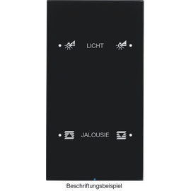 75142155 Berker Touch-Sensor 2fach Komfort Berker R.3 Glas, schwarz Produktbild front M