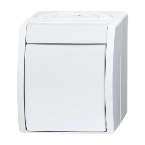 2621W-54 Busch-Jaeger Taster AP Produktbild Front View L