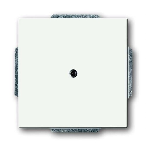 1742-884 Busch-Jaeger Blindzentral- scheibe Produktbild Front View L