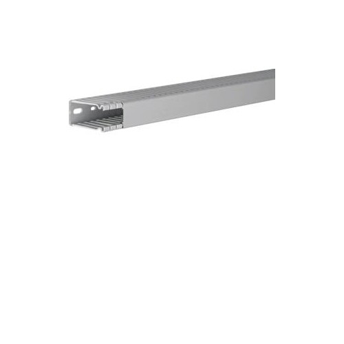 BA66002507030B Tehalit Verdrahtungs- kanal 60x25 HXB grau Produktbild Front View L