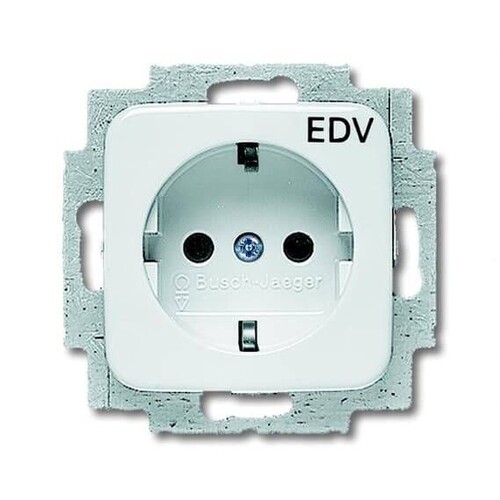 20 EUC/DV-214 Busch-Jaeger Steckdoseneinsatz EDV  alpinweiß Produktbild Front View L
