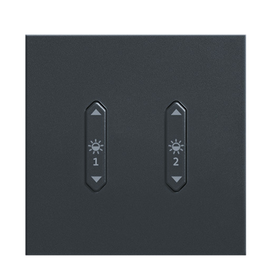 22161843 Zumtobel LM-RCB2 Li LM Wipptaster 2fach Licht anthrazit Produktbild front M