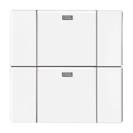6732-84 Busch-Jaeger 6732-84 2-fach Bedien. WaveLINE Produktbild