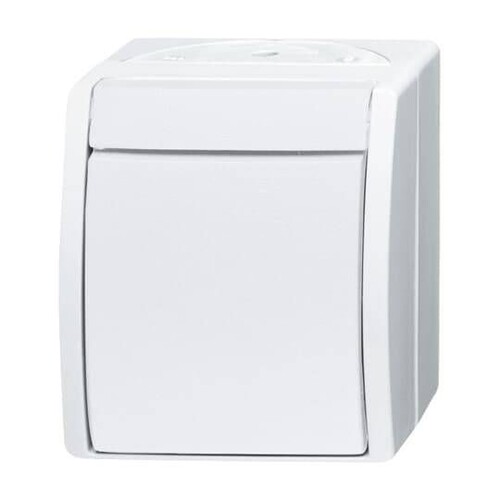 2601/2 W-54 Busch-Jaeger AP Aussch.2p 2601/2 W-54 Produktbild Front View L