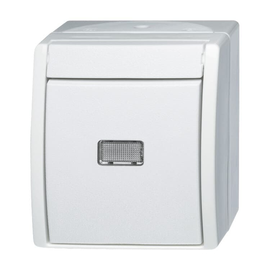 2601/6 WGL-54 Busch-Jaeger AP Wechselsch Bel 2601/6 WGL-54 Produktbild front M